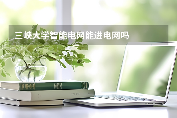 三峡大学智能电网能进电网吗