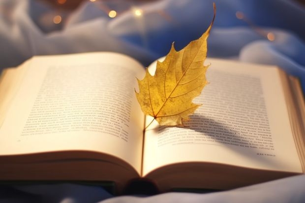 太和五中和太和六中哪个好