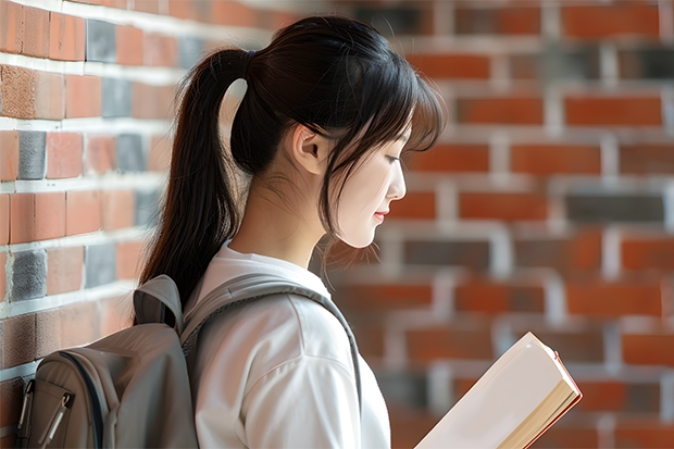 沈阳师范大学4+0计划外招生的好不好（沈阳师范大学国际商学院自主招生）