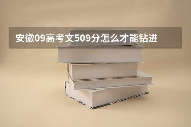 安徽09高考文509分怎么才能钻进二本类院校？娱乐。电脑。DNF。IT。考试。新闻。