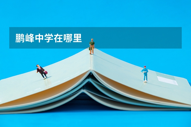 鹏峰中学在哪里