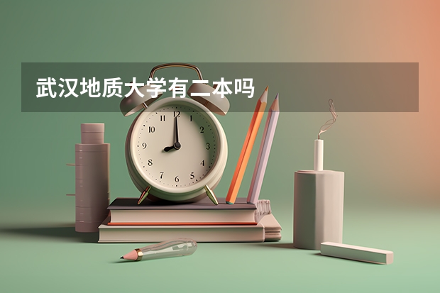 武汉地质大学有二本吗