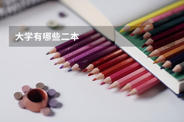 大学有哪些二本