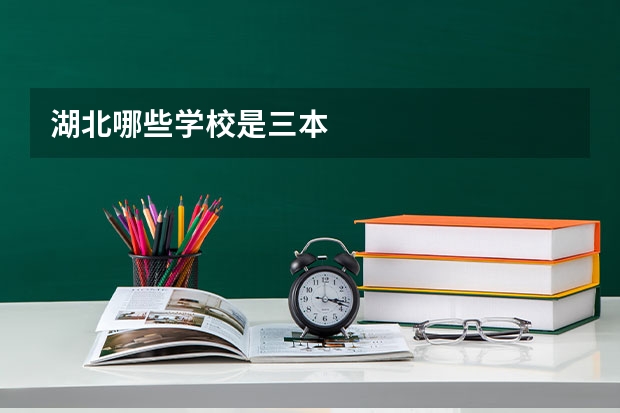 湖北哪些学校是三本