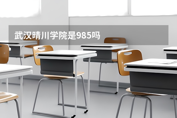 武汉晴川学院是985吗