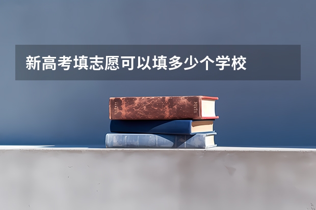 新高考填志愿可以填多少个学校