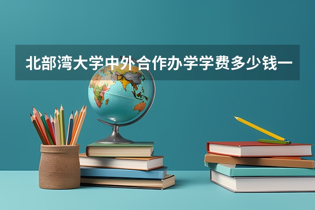 北部湾大学中外合作办学学费多少钱一年