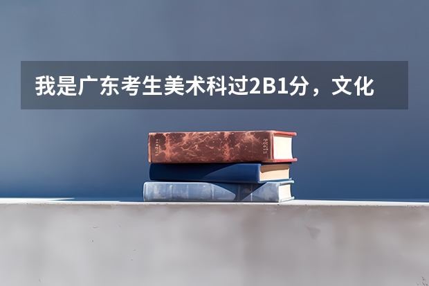 我是广东考生美术科过2B1分，文化科过一批，广轻跟番职哪个比较有希望被录取