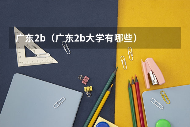 广东2b(广东2b大学有哪些)