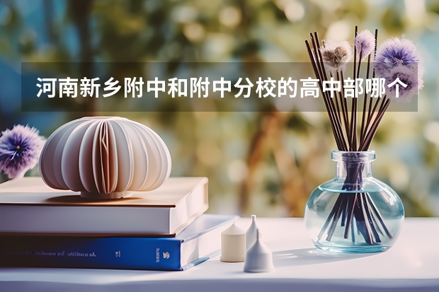 河南新乡附中和附中分校的高中部哪个教学质量更好些？