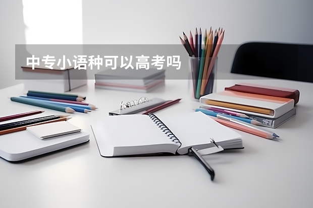 中专小语种可以高考吗