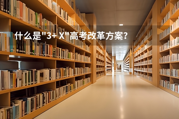什么是