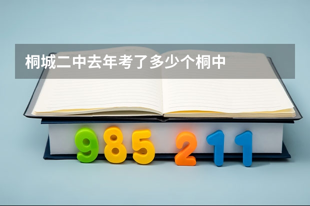 桐城二中去年考了多少个桐中