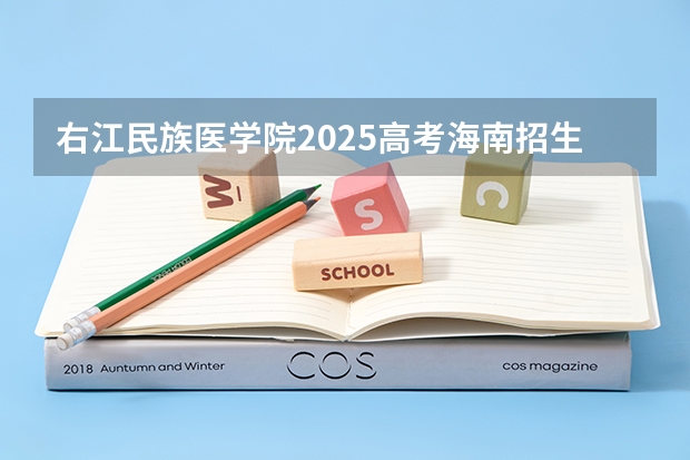右江民族医学院2025高考海南招生计划