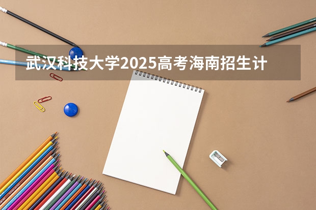 武汉科技大学2025高考海南招生计划