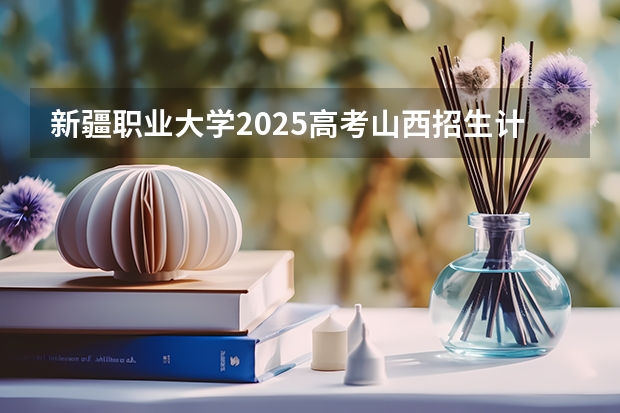 新疆职业大学2025高考山西招生计划