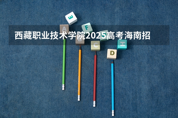 西藏职业技术学院2025高考海南招生计划