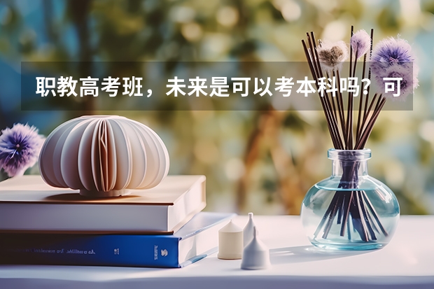 职教高考班，未来是可以考本科吗？可以参加高考吗？