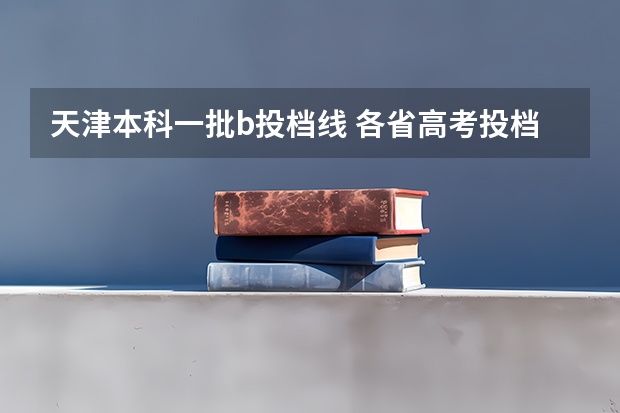 天津本科一批b投档线 各省高考投档线