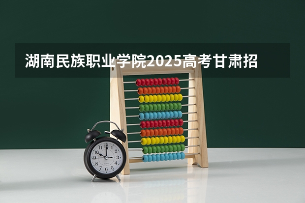 湖南民族职业学院2025高考甘肃招生计划