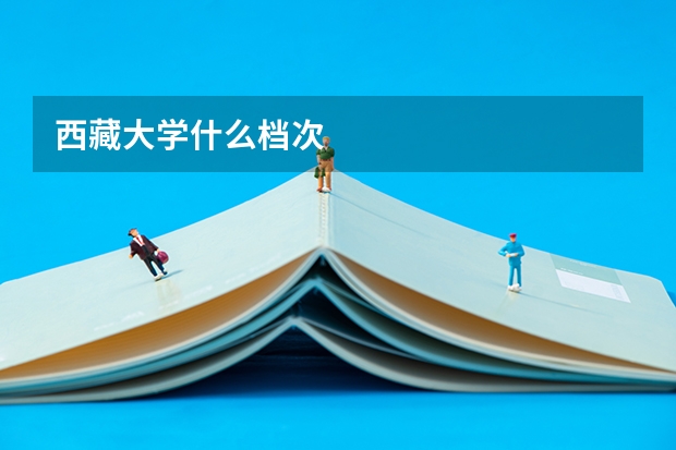 西藏大学什么档次