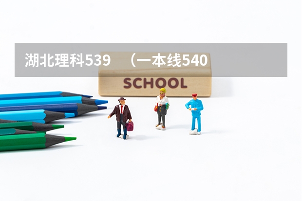 湖北理科539 (一本线540) 可以上海南大学吗?