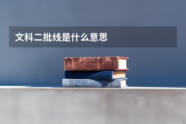 文科二批线是什么意思