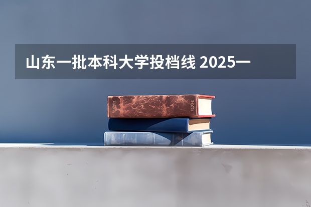 山东一批本科大学投档线 2025一批投档线