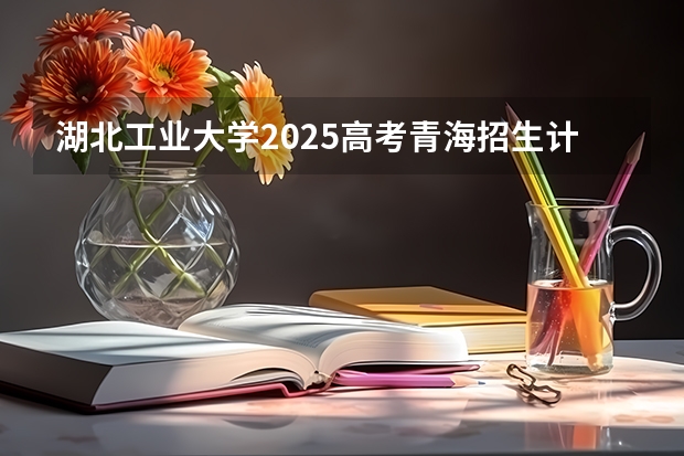 湖北工业大学2025高考青海招生计划
