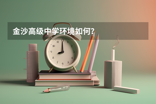 金沙高级中学环境如何？