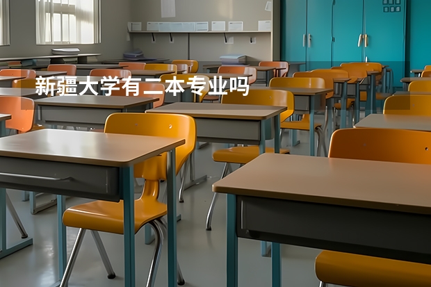 新疆大学有二本专业吗