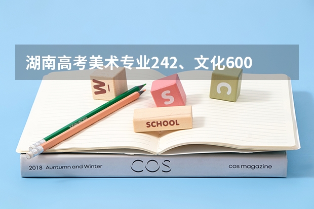 湖南高考美术专业242、文化600能考什么学校？