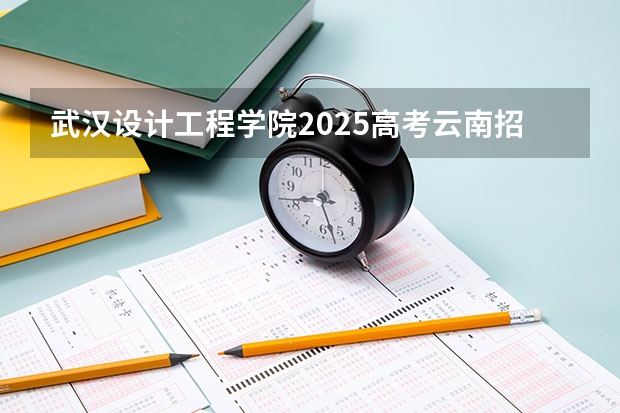 武汉设计工程学院2025高考云南招生计划