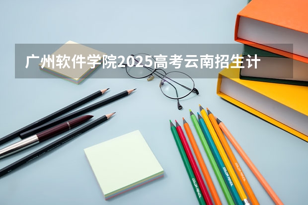 广州软件学院2025高考云南招生计划