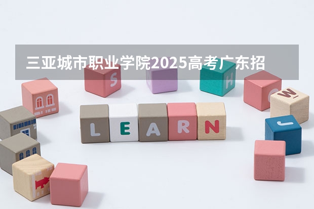 三亚城市职业学院2025高考广东招生计划