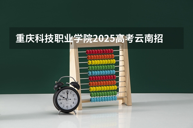 重庆科技职业学院2025高考云南招生计划
