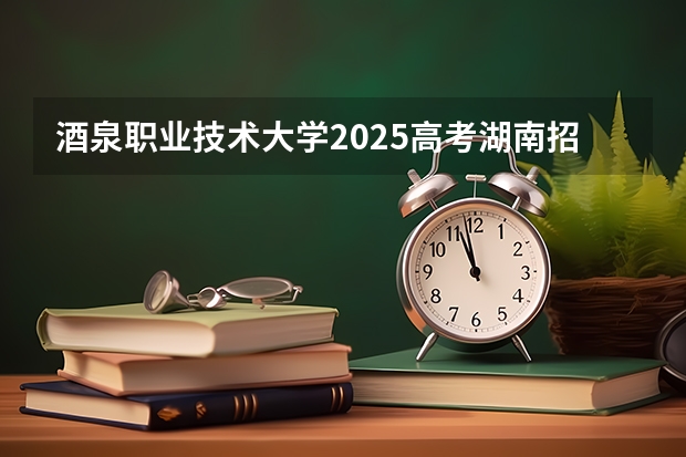 酒泉职业技术大学2025高考湖南招生计划