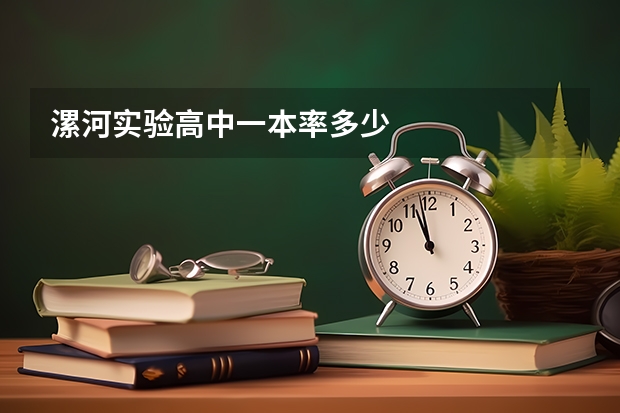 漯河实验高中一本率多少