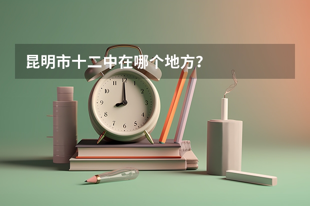 昆明市十二中在哪个地方？