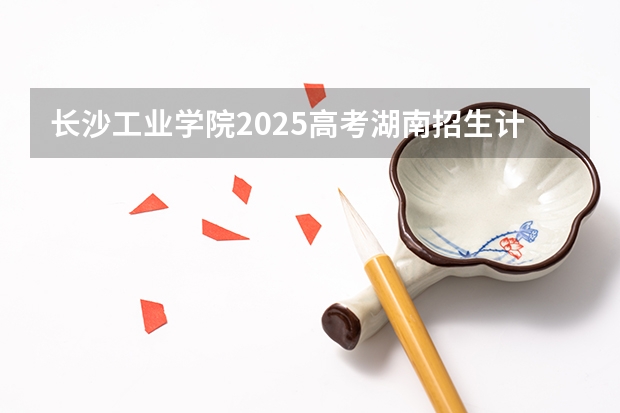 长沙工业学院2025高考湖南招生计划
