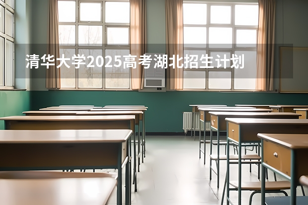 清华大学2025高考湖北招生计划