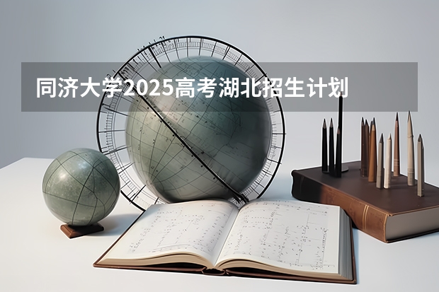 同济大学2025高考湖北招生计划