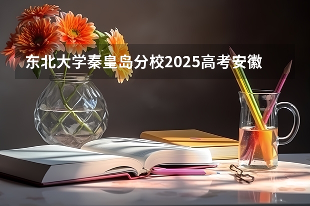 东北大学秦皇岛分校2025高考安徽招生计划