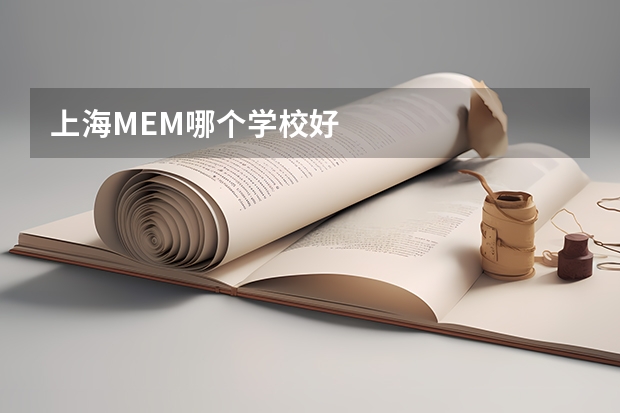 上海MEM哪个学校好