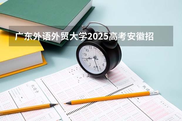 广东外语外贸大学2025高考安徽招生计划