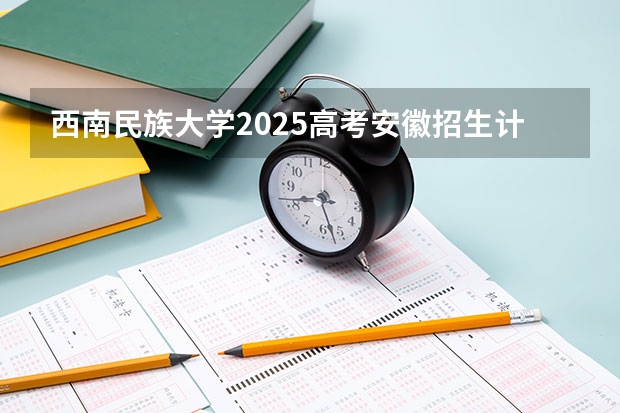 西南民族大学2025高考安徽招生计划