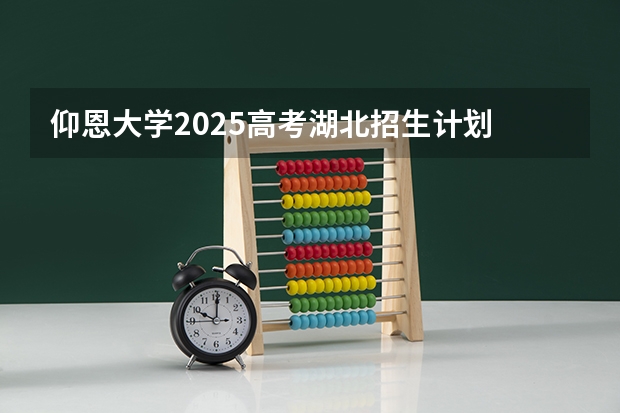 仰恩大学2025高考湖北招生计划
