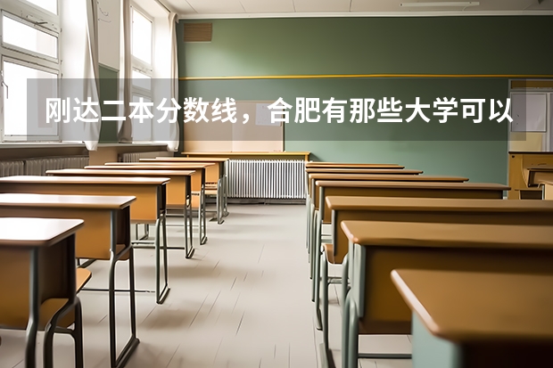 刚达二本分数线，合肥有那些大学可以上？保守一点，合肥学院能上吗？12届安徽理科考生
