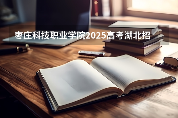 枣庄科技职业学院2025高考湖北招生计划
