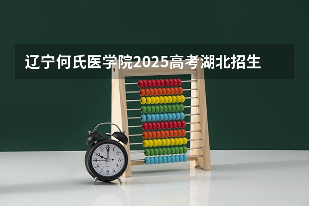 辽宁何氏医学院2025高考湖北招生计划
